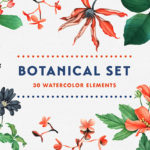 水彩の草花の風合いが美しいイラストセット「Botanical Garden Watercolor Set」