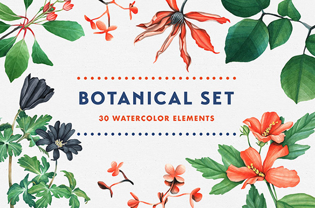 水彩の草花の風合いが美しいイラストセット Botanical Garden Watercolor Set のご紹介 Webデザイン参考記事まとめアプデ