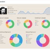 Githubの任意のユーザーのステータスを可視化するツール・「Github Profile Summary」