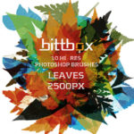 高解像度の葉っぱのPhotoshopブラシセット「Free High-Res Photoshop Brushes – Leaves」