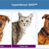 イヌをネコに変形！映画やテレビでよく見かけるモーフィングを作成できるオンラインツール -HyperMorph 3000™