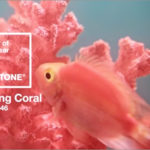 2019年の流行色・トレンドカラーは、かわいい珊瑚色の「Living Coral」HTMLのコードは「#FF6F61」