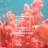 PANTONEが選ぶ2019年の色「Living Coral」を使った配色例