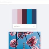 任意の画像から美しいカラーパレットを自動生成、エクスポートできる・「ColorKitty」