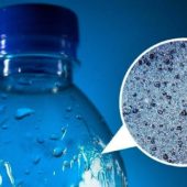 【新たな研究】私たちは毎年7万ものプラスチック粒子を飲み込んでいる？！