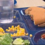 食品廃棄を減らすために 食品ロス削減や再利用のためのアイデアを紹介 学校で廃棄される驚くべき量の食物の現実