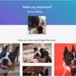 TensorFlow.jsで犬の写真から犬種を判別するオープンソースのWebアプリ・「DogFinder」