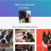 TensorFlow.jsで犬の写真から犬種を判別するオープンソースのWebアプリ・「DogFinder」