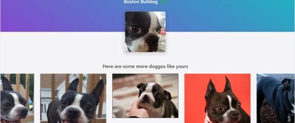 TensorFlow.jsで犬の写真から犬種を判別するオープンソースのWebアプリ・「DogFinder」