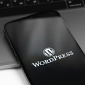 WordPress本体自動更新設定と任意のバージョンにダウングレードする方法