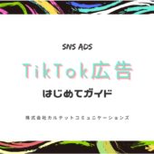 TikTok（ティックトック）広告の基本ガイド！成功させるための秘訣とは？