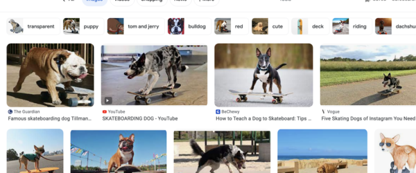 SEOにおけるエンティティとは何か？ そして、なぜそれが重要なのか？