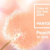 PANTONEが選ぶ2024年の色「Peach Fuzz」