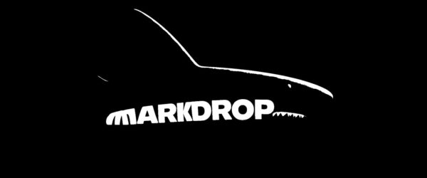 画像やテーブルのデータ抽出や任意のPDFファイルをMarkdownに変換するPythonパッケージ・「Markdrop」