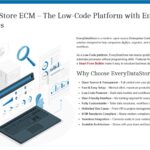 プラグインによる拡張も可能なオープンソースのローコードECM・「EveryDatastore」