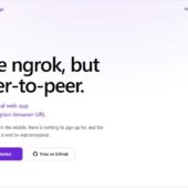ローカルホストのWebアプリをプレーンなURLで他者と共有可能なOSS・「PunchPage」