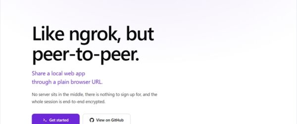 ローカルホストのWebアプリをプレーンなURLで他者と共有可能なOSS・「PunchPage」