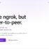 ローカルホストのWebアプリをプレーンなURLで他者と共有可能なOSS・「PunchPage」